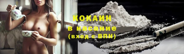 гашик Алзамай