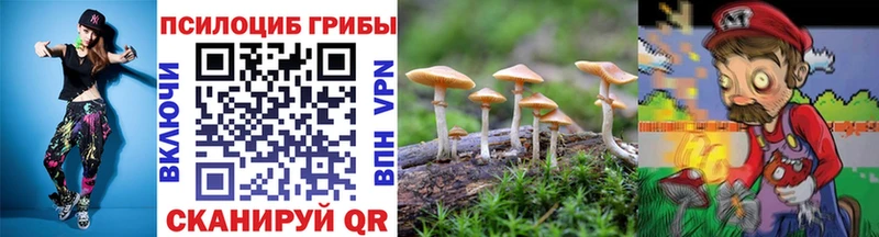 Галлюциногенные грибы Psilocybine cubensis  Ярославль 